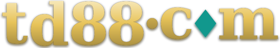 td88.com logo